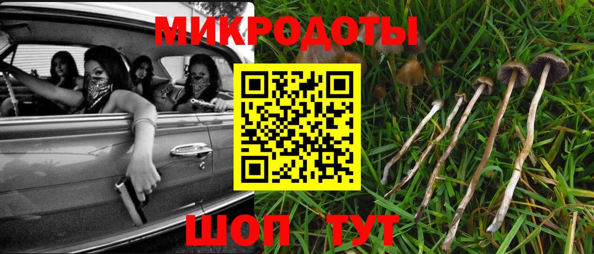 Галлюциногенные грибы Psilocybine cubensis  Галлюциногенные грибы ЛСД  Заводоуковск  Вход с VPN 