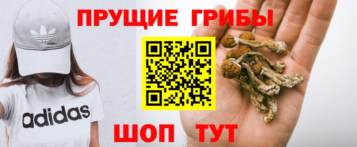 Псилоцибиновые грибы мухоморы Заводоуковск